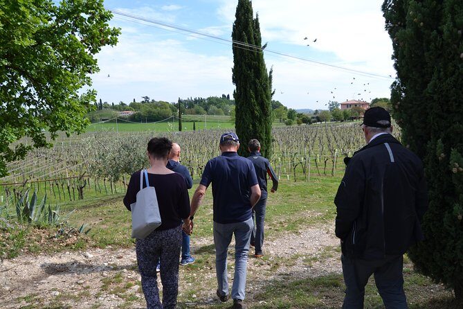 Winery Tour and Tasting of Garda Wines in Lazise - Timing and logistics: getting there from Lazise without turning it into a headache