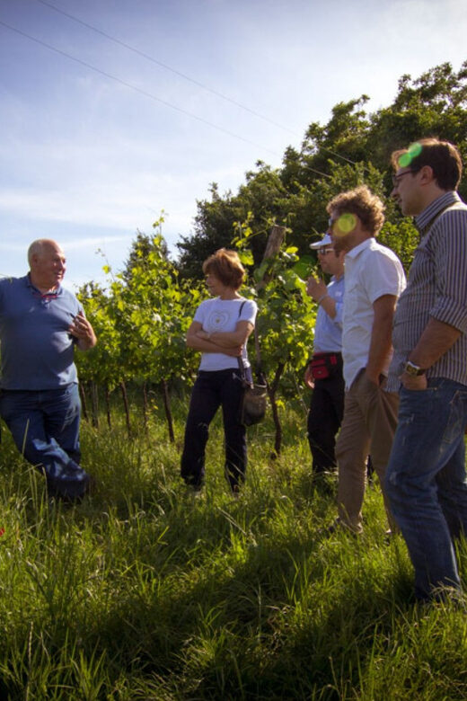 Winery Tour & Tasting on Padua Hills - Where this Padua Hills winery sits in the Colli Euganei