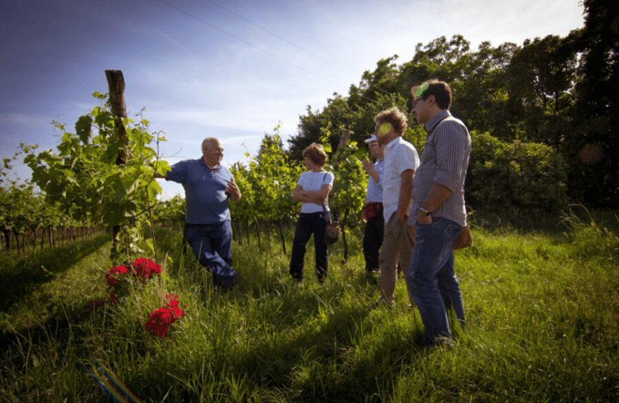 Winery Tour & Tasting on Padua Hills - Price and value: is $53.01 worth it?